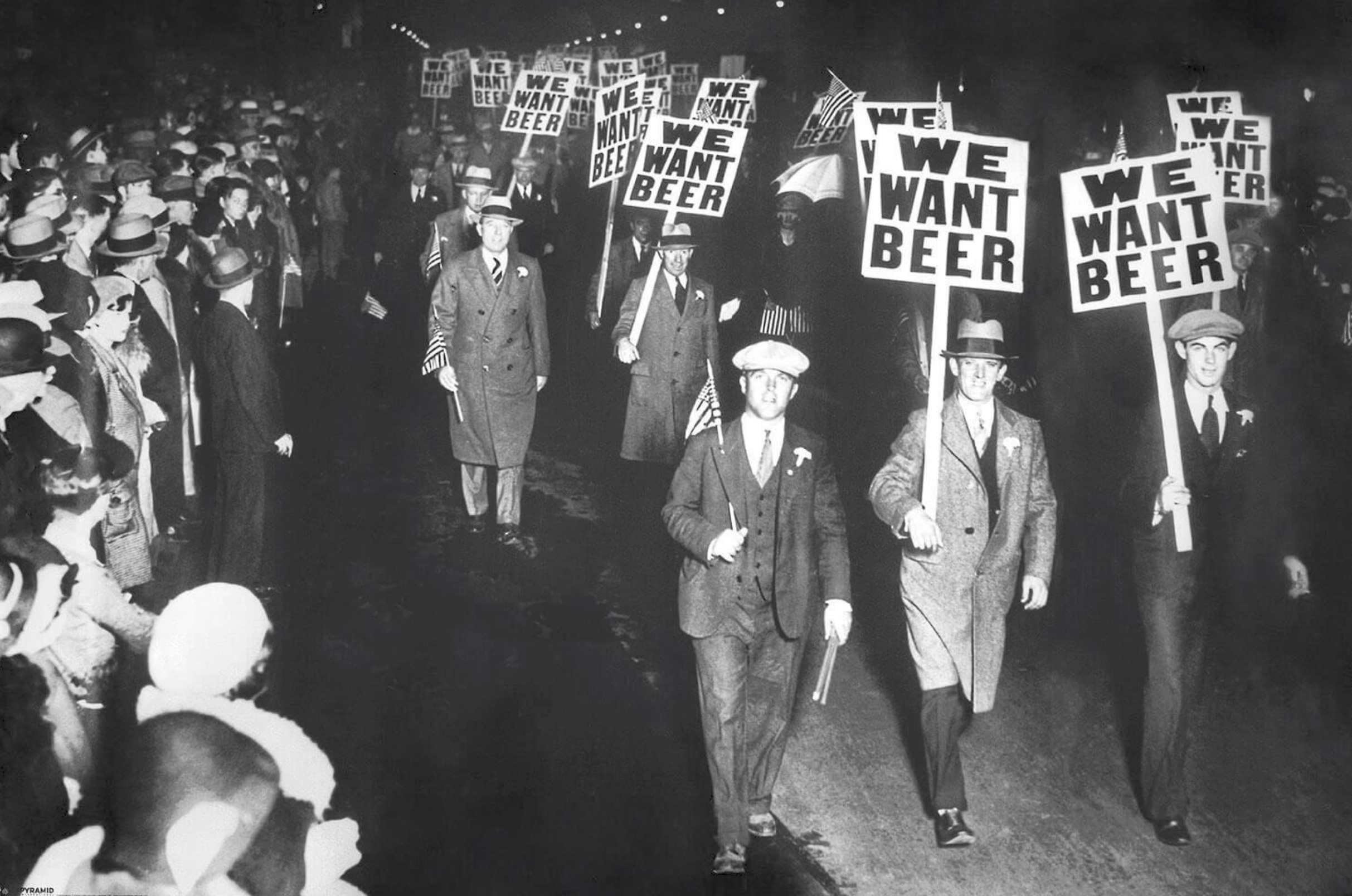 Anti-Prohibition protesters